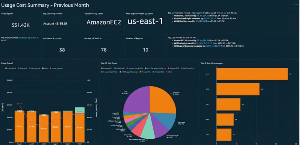 AWS Usage Cost Summary dashboard showing monthly cloud spending breakdown