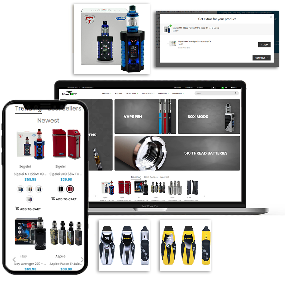 shopify website